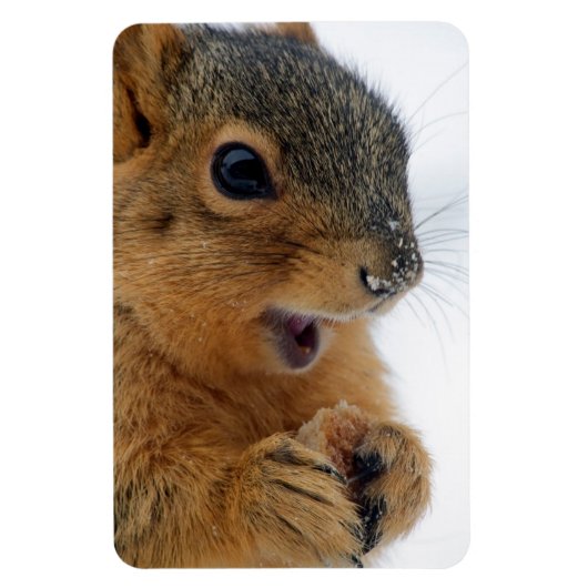 幸せなリス マグネット (縦)