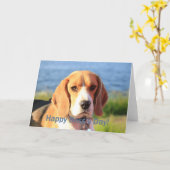 幸せな主任の日のビーグル犬 カード (黄色い花)