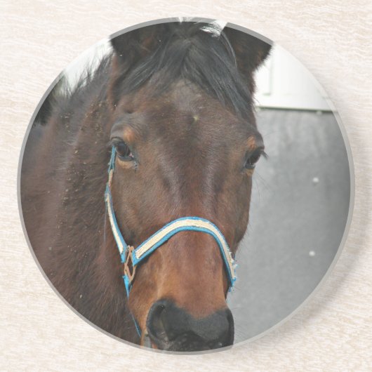 幸せな人 コースター (正面)