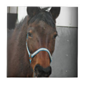 幸せな人 タイル (正面)