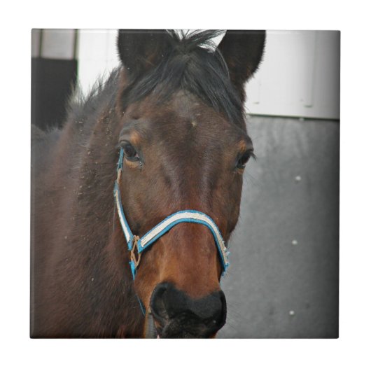 幸せな人 タイル (正面)