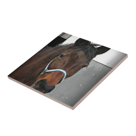 幸せな人 タイル (側面)