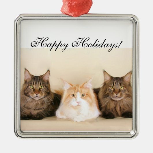 幸せな休日のメインのあらいぐま猫のオーナメント メタルオーナメント (正面)