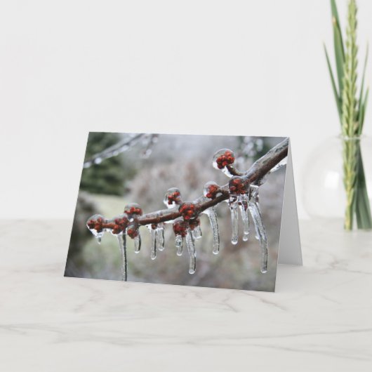 幸せな休日カード シーズンカード (正面)