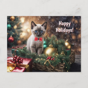 幸せな休日 クリスマス かわいい 子猫 ネコ
