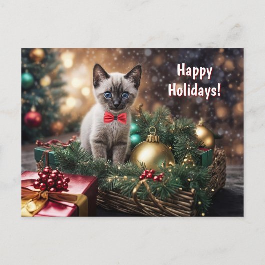 幸せな休日 クリスマス かわいい 子猫 ネコ (正面)