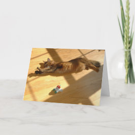 幸せな休日、ソマリ族猫のスタイル シーズンカード