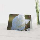 幸せな婚約カード カード (裏面)