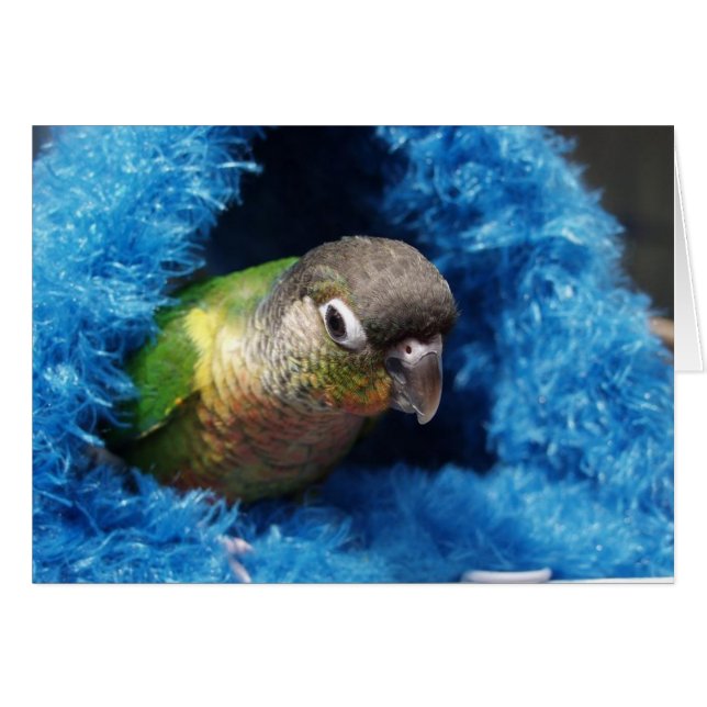 幸せな小屋 (正面横)