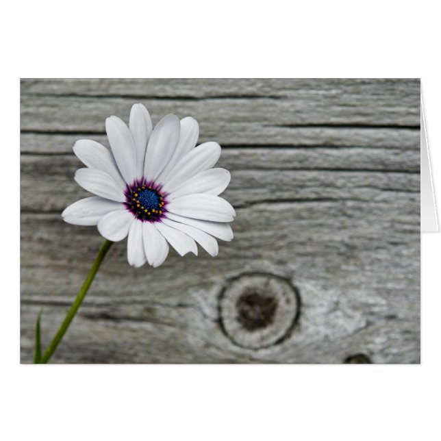 幸せな思い (正面横)