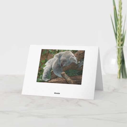 幸せな感謝祭のうたた寝のコアラ シーズンカード (裏面)