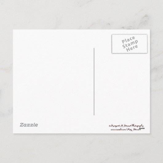 幸せな感謝祭のかわいいシマリスの郵便はがき シーズンポストカード (裏面)