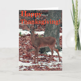 幸せな感謝祭 シーズンカード