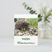 幸せな感謝祭! シーズンポストカード (スタンド正面)