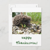 幸せな感謝祭! シーズンポストカード (正面/裏面)