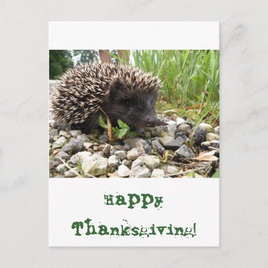 幸せな感謝祭! シーズンポストカード (正面)