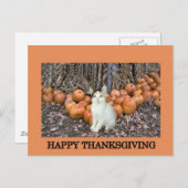 幸せな感謝祭 シーズンポストカード (正面/裏面)