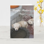 幸せな母の日のゴールデン・リトリーバーの子犬カード カード (黄色い花)