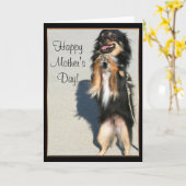 幸せな母の日のチワワの挨拶状 カード (黄色い花)
