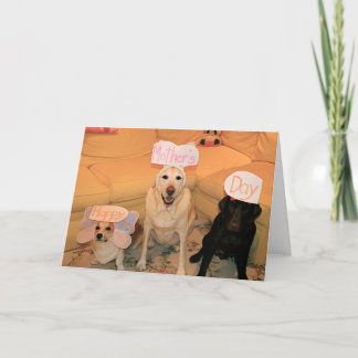 幸せな母の日 カード