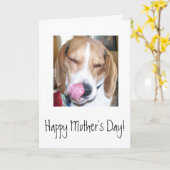 幸せな母の日 カード (黄色い花)