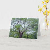 幸せな父の日 カード (黄色い花)