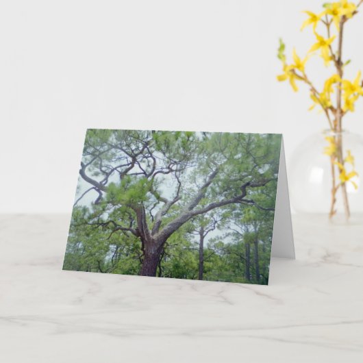 幸せな父の日 カード (黄色い花)