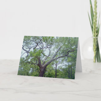 幸せな父の日 カード