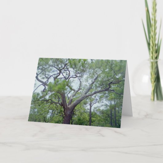 幸せな父の日 カード (正面)