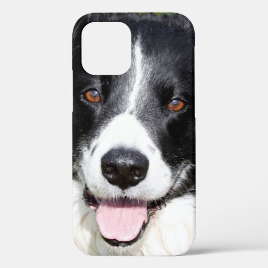 幸せな犬の写真ケースメイトiPhoneケース Case-Mate iPhoneケース (裏面)