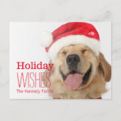幸せな犬の頭部そしておっちょこちょいのなスマイル シーズンポストカード (正面)
