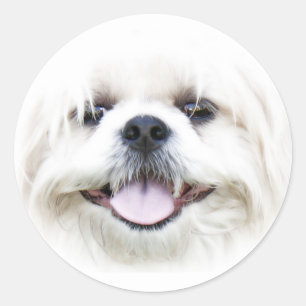幸せな犬の顔のステッカー ラウンドシール