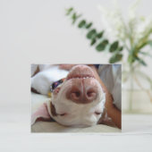 幸せな犬 ポストカード (スタンド正面)