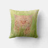 幸せな猫 クッション (裏面)