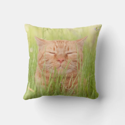 幸せな猫 クッション (裏面)