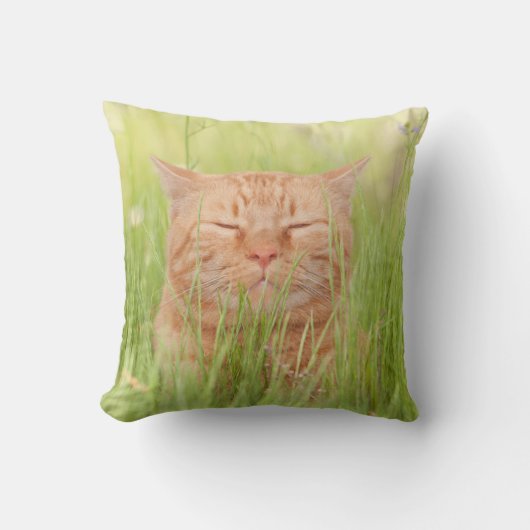 幸せな猫 クッション (正面)