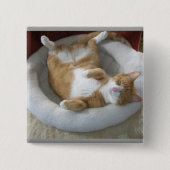 幸せな猫 缶バッジ (正面)