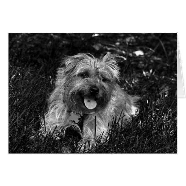 幸せな男の子カード (正面横)