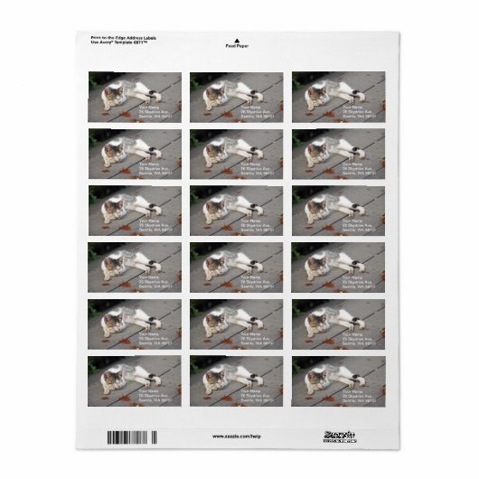 幸せな眠れる猫 ラベル (フルシート)