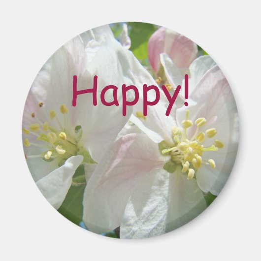 幸せな磁石 春のりんごの花 マグネット (正面)