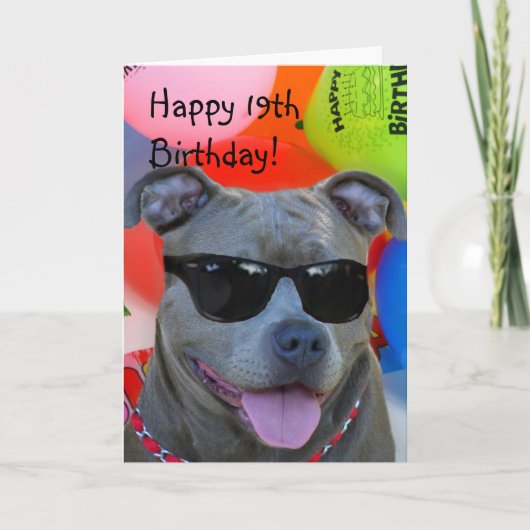 幸せな第19誕生日のピットブルの挨拶状 カード (正面)