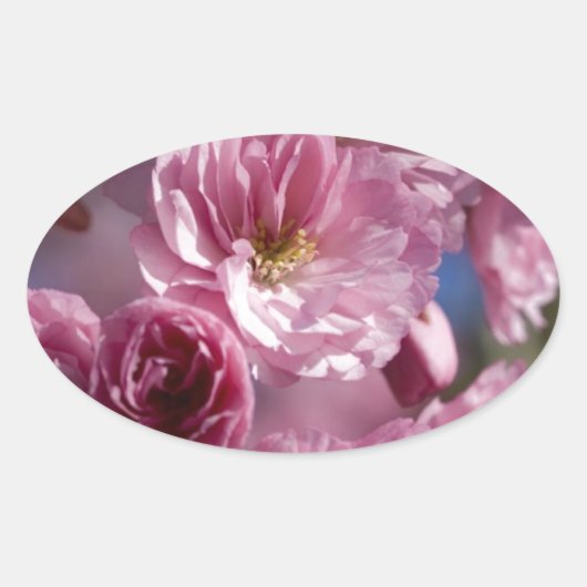 幸せな花々 楕円形シール (正面)