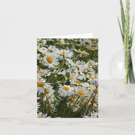 幸せな花の牧場 - 笑顔のマーガレット ノートカード (正面)