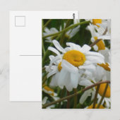 幸せな花 - 笑顔のヒマワリ ポストカード (正面/裏面)