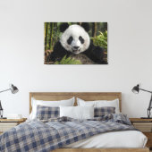 幸せな若いパンダ、中国 キャンバスプリント (インサイチュ (寝室))