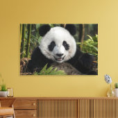 幸せな若いパンダ、中国 キャンバスプリント (インサイチュ (リビング))