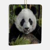 幸せな若いパンダ、中国 セラミックオーナメント (右)