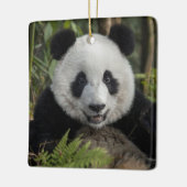 幸せな若いパンダ、中国 セラミックオーナメント (左)
