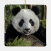 幸せな若いパンダ、中国 セラミックオーナメント (裏面)