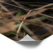 幸せな若いパンダ、中国 ポスター (角)